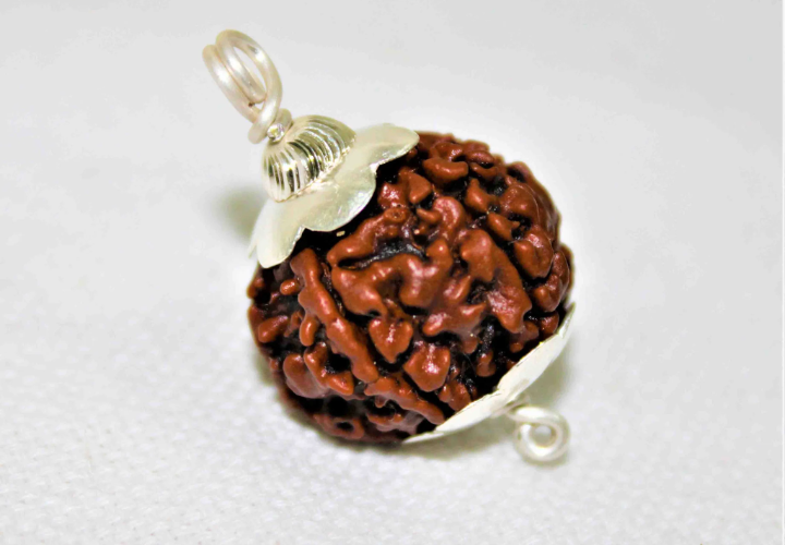 Rudraksha